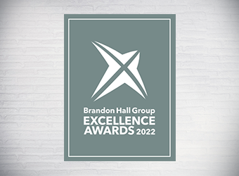 Brandon Hall Excellence Awards image