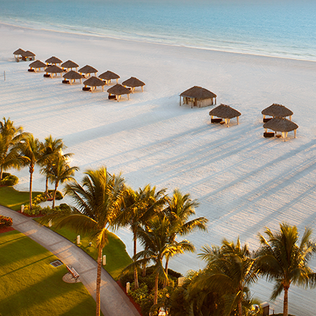 Beach image, light blue ocean, huts on beach, palm trees, grass