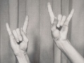 Two hands gesturing "rock n roll" in black-and-white photography.
