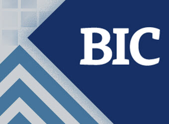 Bank Investment Consultant logo