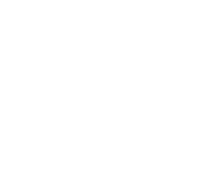 fortune 500